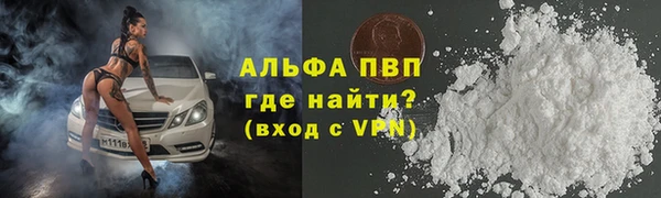 ECSTASY Осинники