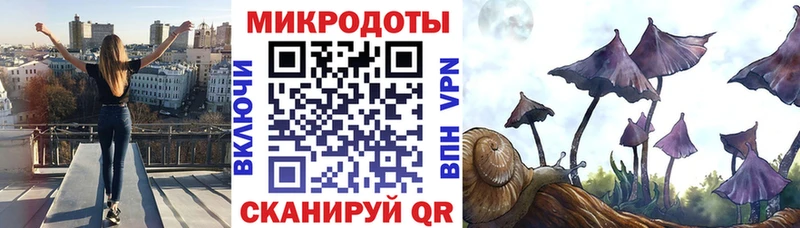 МЕГА зеркало  магазин продажи наркотиков  Новотитаровская  Псилоцибиновые грибы MAGIC MUSHROOMS 
